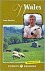Auteur Onbekend - Wales