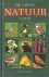Lohmann, Michael - De grote natuurgids (Vogels - Bloemen in de natuur)