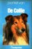 Haak, Ruud (red.) - De Collie
