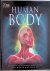 Human Body: An Interactive ...