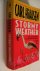 Hiaasen Carl - Stormy Weather