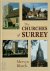 The Churches of Surrey