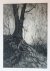 Etching/ets: fallen tree by...