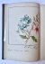  - [Album of verses, Poetry, Poesiealbum, 1868] ‘Poezieboek van Alida Petronella van Hengel', gecalligrafeerde tekst op de titelpagina van een poezie album met ingeschreven verzen uit de jaren 1863-1868.