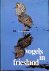 Vogels in Friesland I