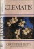 Clematis