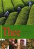 Thee (Vertaling van Tee)