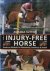 The Injury-Free Horse: Hand...