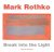 Mark Rothko : break into th...