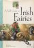 A field guide to Irish fairies