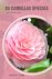 30 Camellia species: Make t...