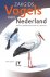 Vogels in Nederland - Zakgi...