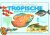 TROPISCHE ZOETWATERVISSEN -...