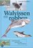 Gids Van Walvissen En Robben