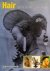 Niangi Batulukisi - Hair in African Art and Culture