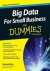 Big Data For Small Business...