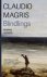 Claudio Magris - Magris, C: Blindlings