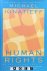 Human Rights as Politics an...