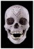 Hirst, Damien& Fuchs, Rudi& Jason Beard - For the Love of God - The Making of the Diamond Skull