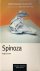 Roger Scruton - Spinoza