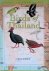 Robson, Craig - Birds of Thailand