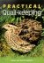 Practical Quail-Keeping