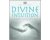 Lynn A. Robinson - Divine Intuition
