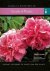 SQUIRE, David   HUNTINGTON, Lucy - Cassell's directory of scented plants