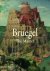 Bruegel The Master