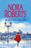 Nora Roberts - Wintergeluk