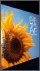 HUF, Paul - Eye to eye - Een foto essay - Paul Huf meets Vincent van Gogh