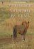 Ruud Troost - Afrika- Verhalen voor bij de Boma - Safaribelevenissen