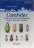 HURKA, Karel - Carabidae of the Czech and Slovak Republics / Ceské a Slovenské republiky.