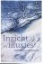 Filip Buekens - Inzicht en illusies