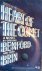 Heart of the Comet