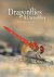 Dragonflies and Damselflies