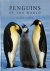 Penguins of the World