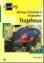 Aqualog African Cichlids II...