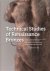 Technical studies of renais...