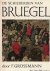 De schilderijen van Bruegel