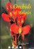 Orchids of Malawi. The epih...