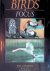 Carwardine, Mark - Birds in Focus
