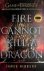 Fire Cannot Kill a Dragon