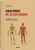 Anatomie in 30 seconden De ...