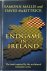 Endgame in Ireland