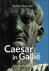 Robert Nouwen - Caesar In Gallie