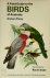 Graham Pizzey - A Field Guide to the Birds of Australia