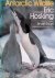 Sage, Bryan L.  Eric Hosking (photographs) - Antarctic Wildlife