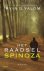 Irvin D. Yalom & Miebeth van Horn - Het raadsel spinoza