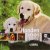 F. Huart - Honden